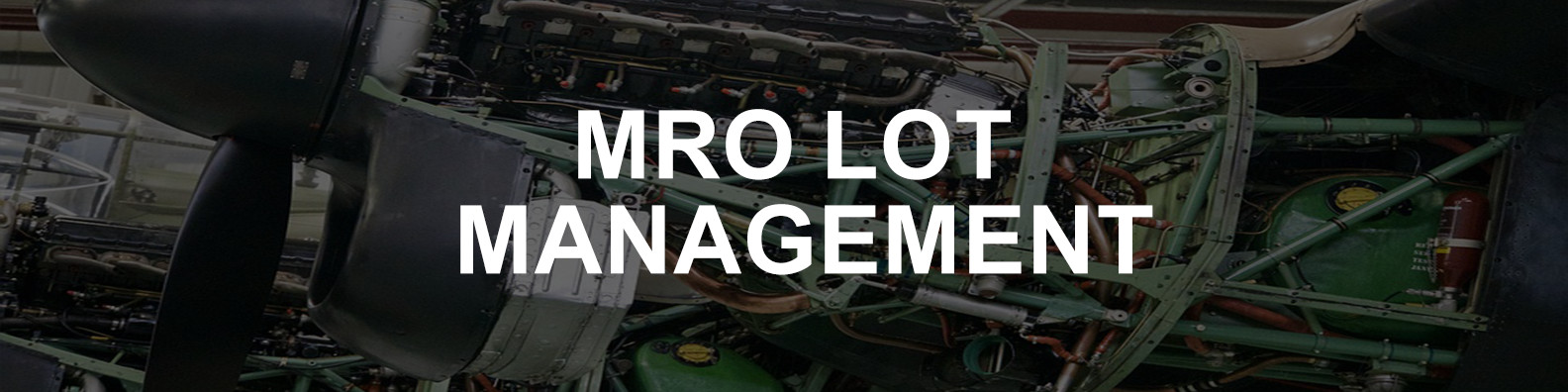 MRO Lot Management